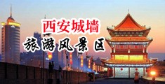 啪啪小逼懆中国陕西-西安城墙旅游风景区